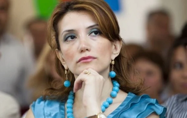 Gültəkin Hacıbəyli Türkiyədə saxlanıldı