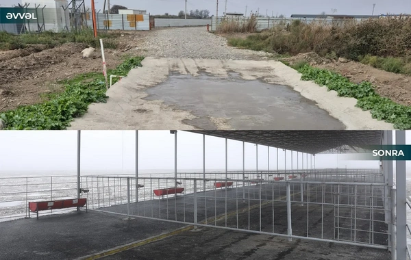 Kürdəmirdə heyvan bazarı yenidən açılıb