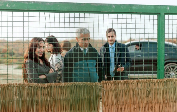 Leyla Əliyeva Mingəçevirdə ekoloji aksiyalarda iştirak edib