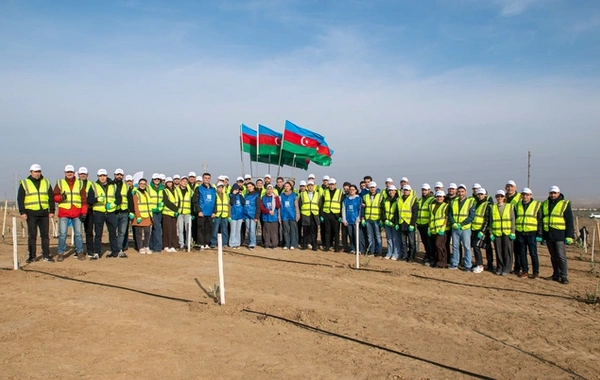 "SOCAR Midstream" ağacəkmə aksiyası keçirib