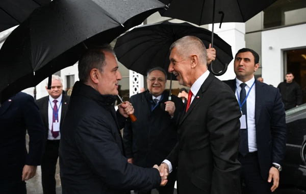 Завершился визит премьер-министра Чехии в Азербайджан