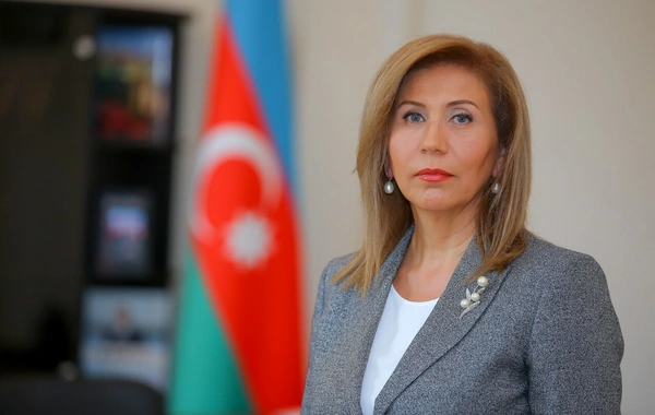 Bahar Muradova: Azərbaycanda doğum halları ilə bağlı vəziyyət kritik həddə deyil