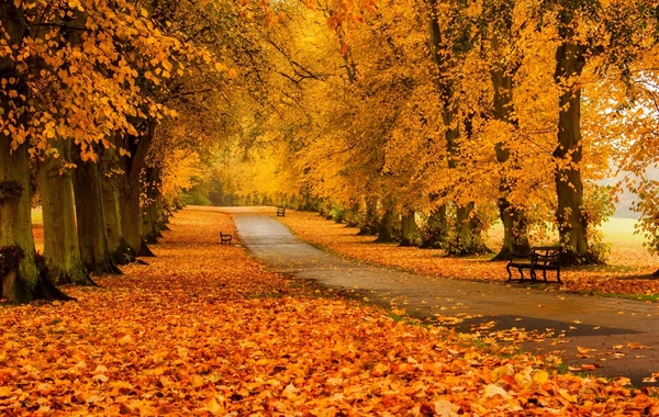 Most Interesting FESTIVALS Held in Autumn: Oktoberfest, Dia de los Muertos, Paris Autumn Festival ...