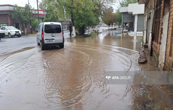 Lənkəranda sel suları həyətyanı sahələrə dolub