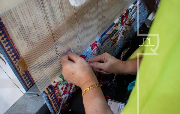 WUF13-ün beşinci günündən maraqlı anlar - FOTOREPORTAJ
