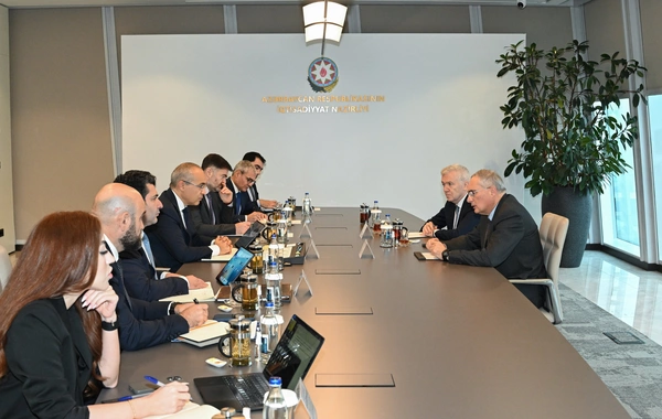 Микаил Джаббаров встретился с главным директором итальянской компании