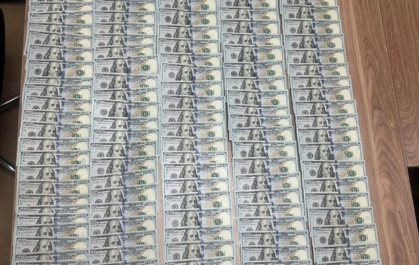 Naxçıvanda evdən 22 min dollar oğurlayan şəxslər saxlanılıblar