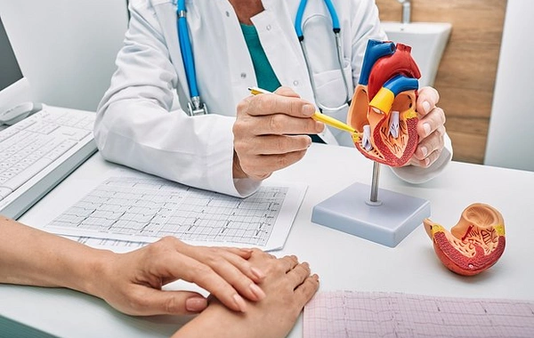 A method for heart recovery after a heart attack has been discovered