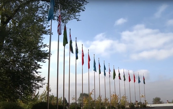 The XII Summit of the Council of Heads of State of the OTG is being held in Gabala
