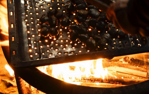 Leyla Əliyeva Qəbələdə "Gənc arıçı" layihəsinin iştirakçısı ilə görüşüb Leyla Əliyeva Qəbələdə "Gənc arıçı" layihəsinin iştirakçısı ilə görüşüb