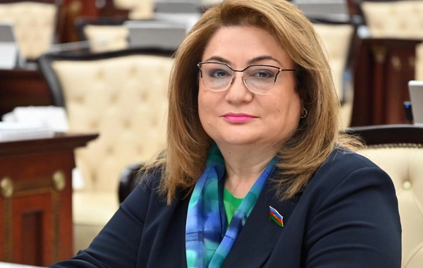 Hicran Hüseynova: Üç və daha çox uşaqlı ailələrə sosial dəstək proqramlarının həyata keçirilməsinə böyük ehtiyac var