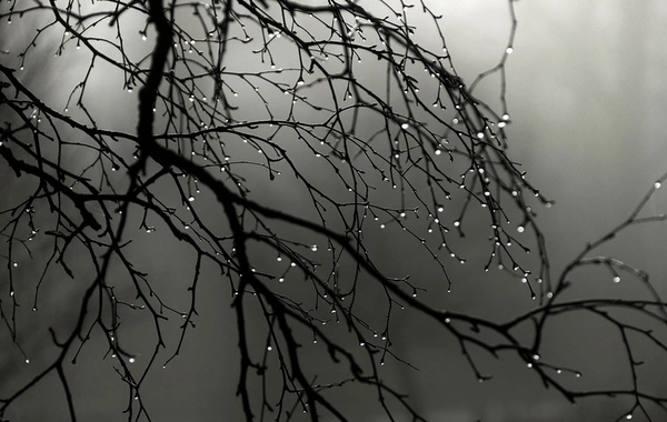 Rain is expected in several regions of Azerbaijan