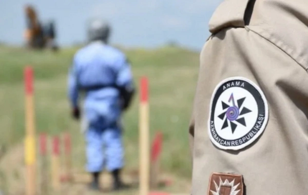 ANAMA раскрыла данные о жертвах мин и ходе разминирования