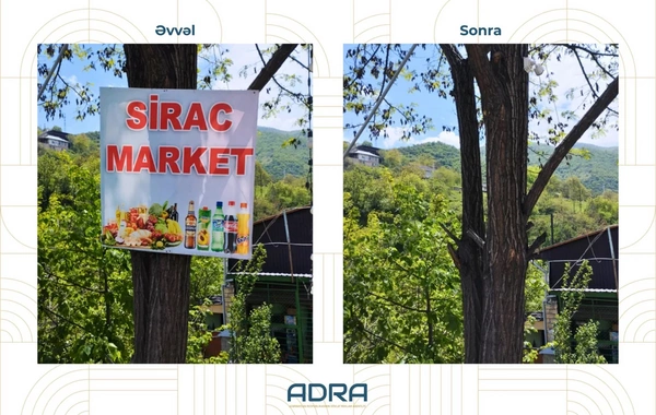 Ağaclara qanunsuz yerləşdirilən 267 reklam qurğusu söküldü