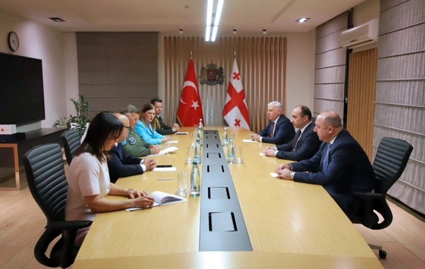 Gürcüstanın daxili işlər naziri türkiyəli generalla təyyarə qəzasını müzakirə edib
