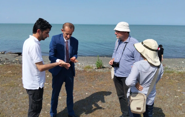 Xəzərin Lənkəran sahillərində Orta əsrlərə aid yaşayış məskəninin izlərinə rast gəlinib