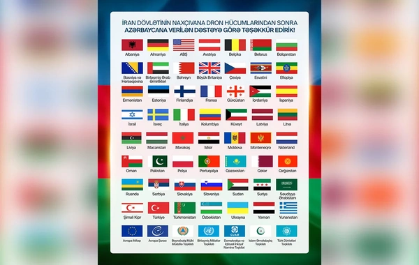 Müxtəlif ölkələrin rəsmi şəxsləri, qurumlar və beynəlxalq təşkilatlar İranın Naxçıvana dron hücumunu pisləyib