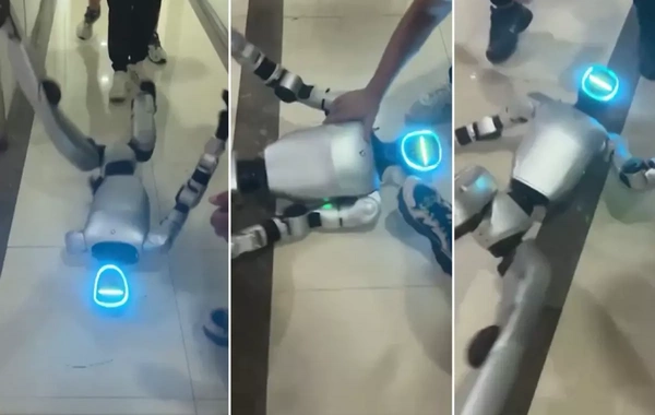 Çində robot proqram səhvi səbəbindən panik atak keçirdi