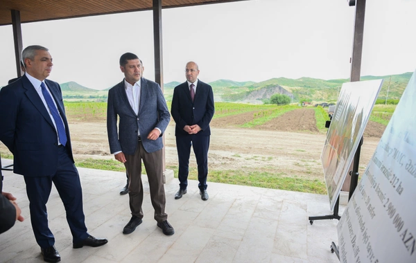 Xocalıda salınmış intensiv bağçılıq təsərrüfatları ilə tanışlıq