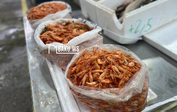 Bakıda balıq yarmarkası fəaliyyətə başladı