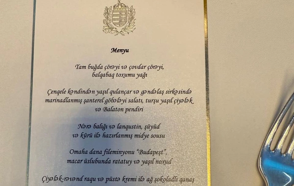 Prezidentlərə təqdim olunan yemək menyusu - FOTO