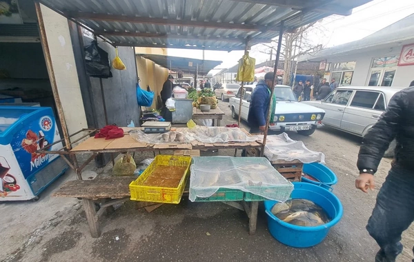 Ucarda bazarda ciddi nöqsanlar aşkarlandı, rəhbəri cəzalandırıldı