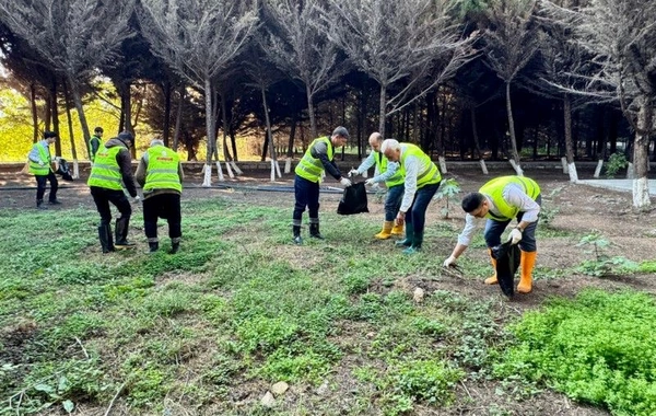 Hacıqabulda Zəfər Bağı salınıb