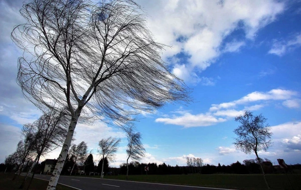 Объявлен желтый уровень погодной опасности на 16 мая
