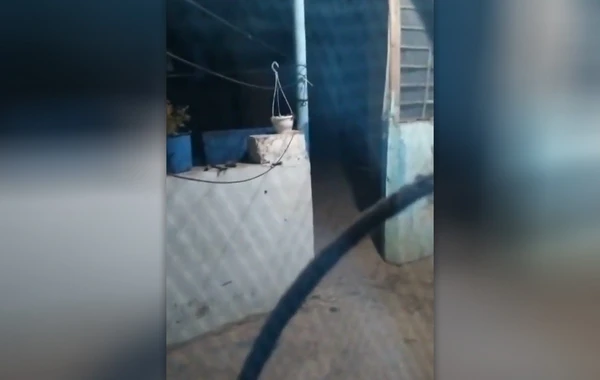 Загадочные ночные нападения в Сабунчи: Жители в панике, полиция ведет расследование