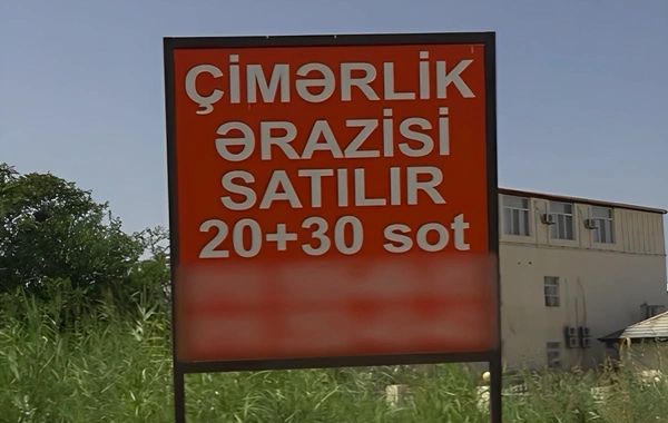 Novxanıda dənizin satılması ilə bağlı elan paylaşıldı - Rəsmi AÇIQLAMA