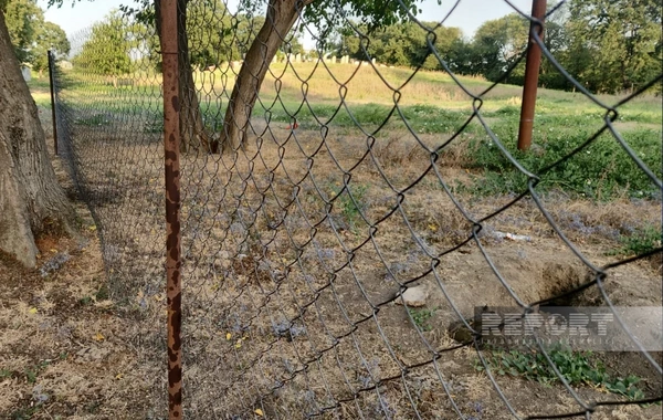 Cəlilabadda park tikintisi zamanı qədim əşyalar tapılan ərazi nəzarətə götürülüb