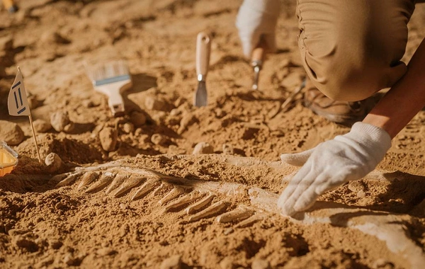 Geologists encountered an unknown life form