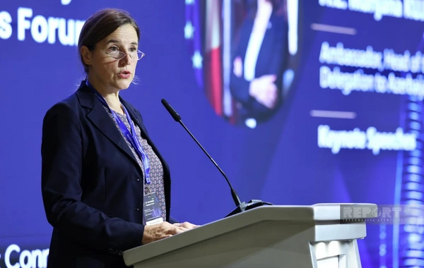 Səfir: Avropa investisiyalarının Azərbaycanın strateji sektorlarına cəlb edilməsi üzərində işləyirik
