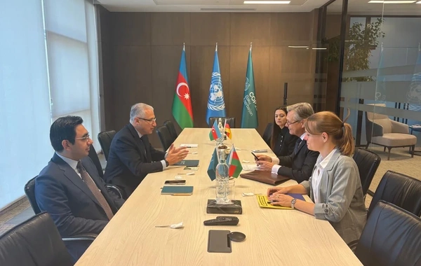 Azərbaycan və Almaniya iqlim sahəsində əməkdaşlığı müzakirə ediblər