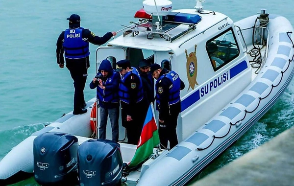 Bakıda 130 ədəd qanunsuz ovlanan nərə balığı aşkarlanıb