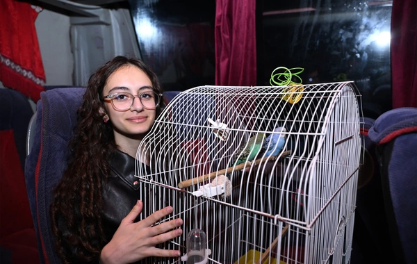 Zəngilan rayonunun Məmmədbəyli kəndinə növbəti köç karvanı yola salınıb