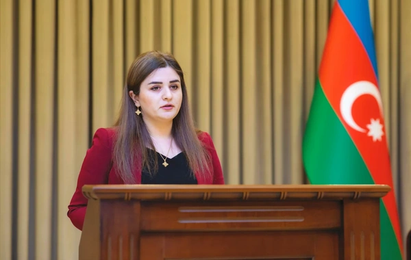 Naxçıvan Ombudsmanı İranın hücumu ilə bağlı bəyanat yayıb