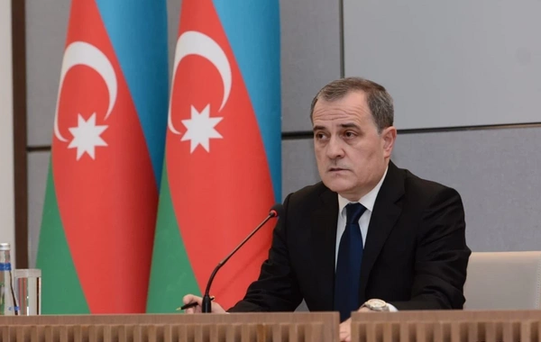 Министр: Азербайджан готов оказать необходимую поддержку для устранения последствий авиакатастрофы