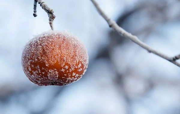 Sabah Bakıda 2 dərəcə isti olacaq - PROQNOZ