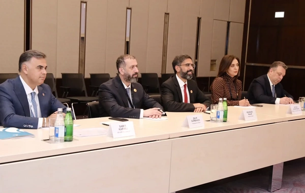 SOCAR ABŞ şirkəti ilə "yaşıl enerji" keçidində əməkdaşlıq edə bilər