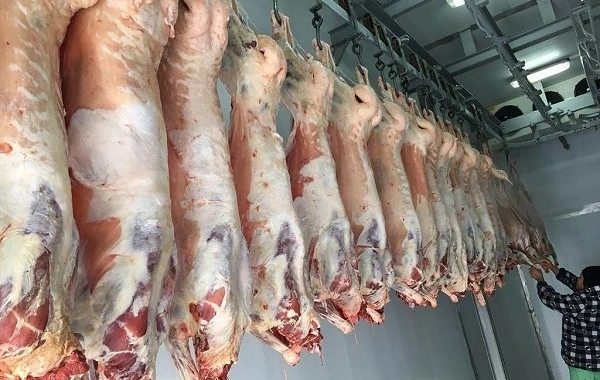 Bakıda satılan "monqol quzuları" təhlükəsizdir? - AÇIQLAMA