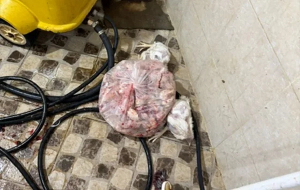 Lənkəranda qanunsuz toyuq kəsimi müəssisəsi aşkarlandı