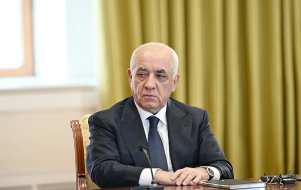 İlham Əliyev TDT-yə üzv dövlətlərin hökumət başçılarının görüşünün iştirakçılarını qəbul edib