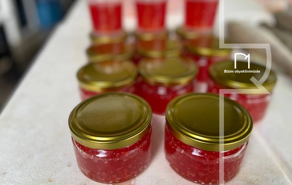 Ət əvəzinə hamı balıq alır - Bazarda SON QİYMƏTLƏR