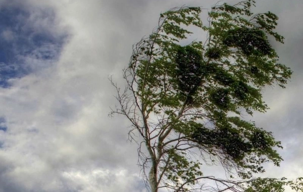 Hava ilə bağlı XƏBƏRDARLIQ: Bu tarixlərdə...