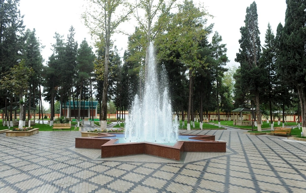 Bu şəhərdə mərkəzi park yenilənəcək