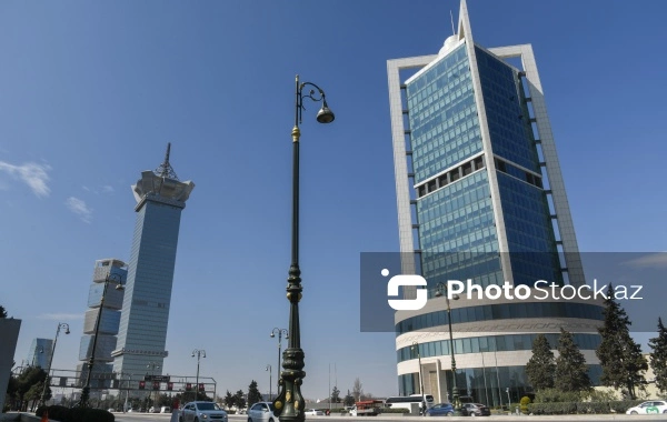 ARDNF-in büdcəsi 11 % azaldıla bilər