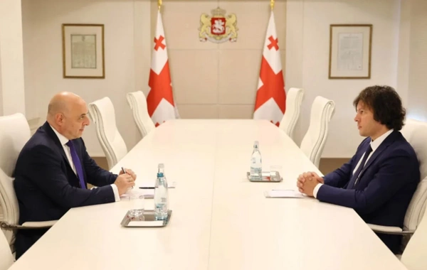 İrakli Kobaxidze Gürcüstanın Azərbaycana yeni təyin olunmuş səfiri ilə görüşüb