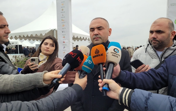 Bu festivallar vasitəsilə bölgələrdə emal müəssisələrinin yaradılmasını təşviq edirik - Anar Cəfərov