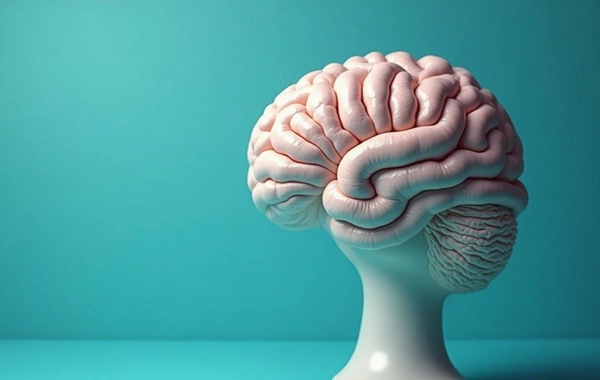 Dünyanın ən ağıllı ölkələri açıqlandı — siyahının zirvəsində Asiya dövlətləri var